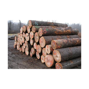 Proveedor directo de troncos de madera de roble al por mayor, mangroove, leña de madera dura para Energía, troncos redondos de madera de roble a precio competitivo - Product Image 1