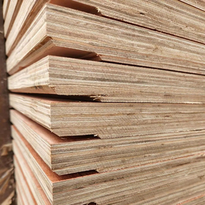 Contrachapado de Madera de Alta Calidad Kego T5 para Contenedores de Envío - Product Image 1