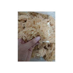 Roasted crispy <b>seaweed</b> <b>snack</b> healthy low calorie marine vegetable <b>snack</b> packaging ready for international export bulk - Product Image 3