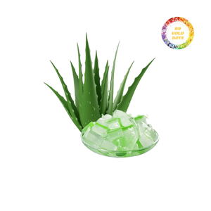 Dés d'aloe vera de haute qualité pour boissons aux fruits et smoothies Cubes d'aloe vera frais Exportateur - Product Image 2