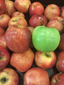 Chứng Nhận Tươi Một Lớp Granny Smith Táo Đức Ngọt Ngào Giòn Hương Vị Bán Buôn Xuất Khẩu - Product Image 4