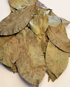 Proveedor de Hojas de Guanábana Secas de Primera Calidad de Vietnam - Product Image 4