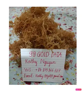 Pure Dried Eucheuma Cottonii Seaweed /Dried Clean Golden Sea Moss No Salt Best Price