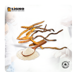 LiGNO OCS02 ®   Cordyceps Sinensis de Malasia, Energía Natural, Vitalidad, Apoyo Inmunológico, Nutracéutico Funcional, Compatible con OEM y ODM - Product Image 1