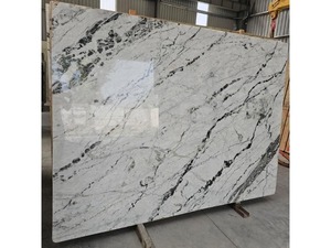 Dalle de marbre blanc poli pour revêtement mural moderne et décoration, utilisation intérieure imperméable - Product Image 2