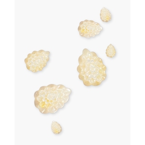 ลูกปัดดอกไม้มุกขาวสำหรับทำเครื่องประดับ - Product Image 1
