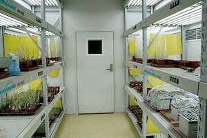 Kunden spezifische Industrie kammer für Blöcke Zement begehbarer Raum Beton härtung parpaings Prüfgeräte Heißes kaltes Radfahren - Product Image 2