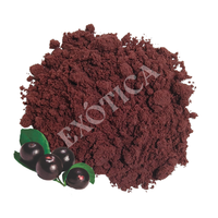 Topkwaliteit Wilde Peruaanse Acai Gedroogd Poeder 100% Zuivere Anthocyanine Voedingskwaliteit Zak voor Groothandel Hoge Antioxidanten Voedingsstoffen