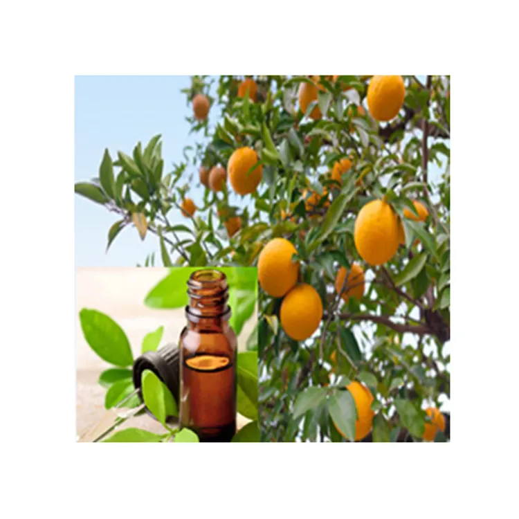 Prix usine bonne qualité meilleure vente huile essentielle d'orange amère naturelle et 100% pure du fournisseur indien