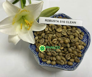 Granos de café Robusta de Vietnam Premium, aroma fuerte, sabor amargo audaz, Crudo y tostado a granel a precio competitivo - Product Image 4