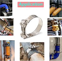 Colliers de serrage robustes en acier inoxydable 301
