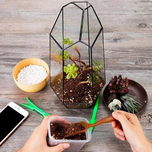 Glass Plant Box Irregular <b>Terrarium</b> Geometric Glass Best Quality Hanging Glass <b>Terrarium</b> Hot <b>Sale</b> Art Deco Design <b>for</b> Tabletop - Product Image 2