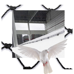Cao cấp pestline chim <span class=keywords><strong>Net</strong></span> PRO 25x50 nhựa Bird Repellent 100% hiệu quả khi cài đặt đúng cách - Product Image 1