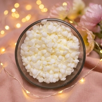 Cire de soja 100% pure et biologique, matière première pour la fabrication de bougies votives parfumées, longue durée de combustion, parfum personnalisé, approvisionnement en vrac 25kg