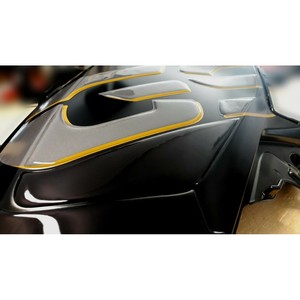 Kit d'adhésifs transparents 3D pour BMW GS R1250, autocollants de réservoir de moto sur mesure exclusifs compatibles - Product Image 2