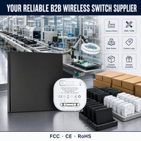 Interrupteur sans fil auto-alimenté, sans batterie, sans câblage, interrupteur à énergie cinétique, fournisseur OEM ODM, fabricant B2B