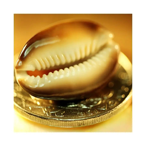 Concha de caracol de mar Natural para decoración, ecológico, 99 gd, gran oferta - Product Image 4