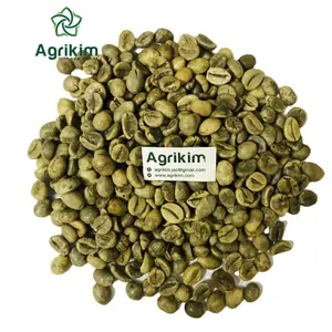 Dijual biji kopi arabika hijau kualitas tinggi dari Daklak Vietnam