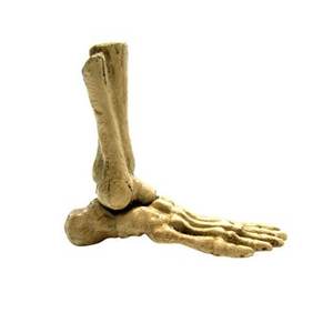 Portalápices de Hierro Fundido Hecho a Mano con Forma de Esqueleto, Decoración de Escritorio Única, Accesorio de Oficina Elegante, Colores Personalizados, Organizador de Escritorio Artístico - Product Image 2