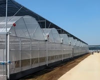 Meestverkochte multi-span enkellaags commerciële PE-constructie voor de helejaarse teelt van groenten en bloemen