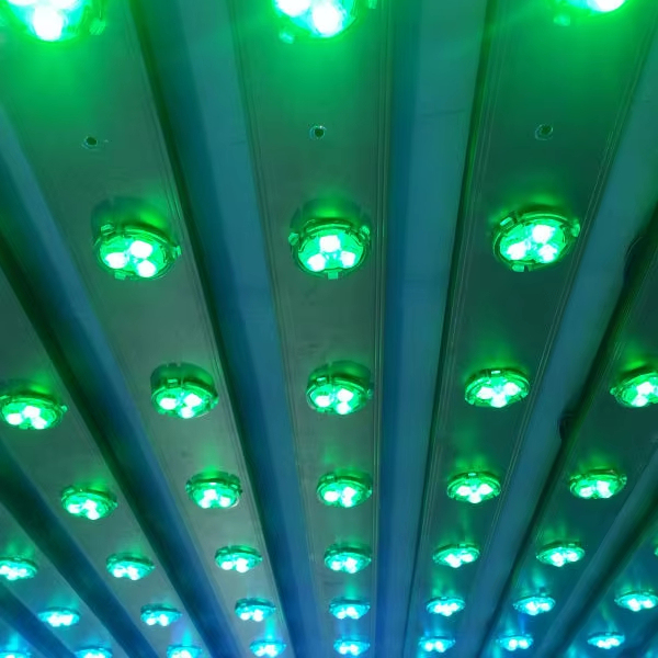 Wifi Control Waterproof IP67 12V Color Change Outdoor Lighting Project Used Rgb Leds Pixel Lights
