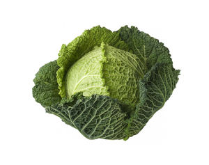 Repollo Verde Fresco de Primera Calidad de la Nueva Cosecha 2024, Estándar de Exportación, Orgánico, Fresco, Tailandés, Crucífero - Product Image 4