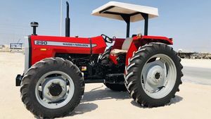 Matériel agricole Massey Ferguson 70 CV durable, y compris moteur, boîte de vitesses, pompe, roulement de tracteur, démarrage électrique, 4 roues motrices, en vente - Product Image 4
