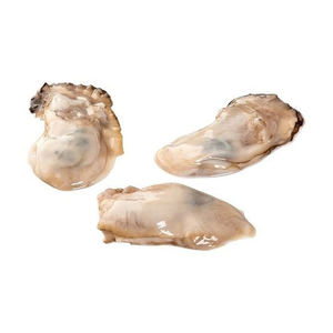 Suministro a granel de carne de ostra japonesa, entregada con el cuidado y enfoque en la calidad. - Product Image 1