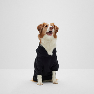 Vente en gros de sweats à capuche modernes pour chiens couleur unie luxe personnalisé écologique 100% coton léger - Product Image 4
