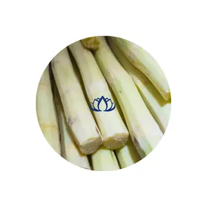 BEST PRICE 2023 FROZEN COMPLETELY PEELED AND POLE SUGARCANE PACKING 500 GRAM FROM BLUE LOTUS FARM VIETNAM