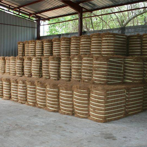 Fibre de noix de coco séchée de super qualité/Produit agricole vendu à chaud du Vietnam à un prix compétitif - Product Image 3