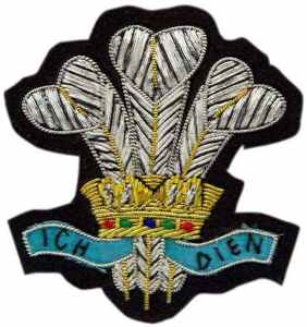 Insignias y Parches Personalizados con Diseño de Bordado Completo de Chica Anime Linda - Product Image 4