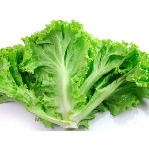 Wild <b>Lettuces</b> Vegetables Wholesale Shell <b>Seeds</b> 100% Pure for Salads Soups Sandwiches Wraps & Grilling-Top Grade - Product Image 1