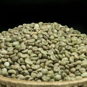 Grains de café vert Robusta de spécialité, taille 18, 100% naturel, café de haute qualité, vente en gros, directement de l'usine, certifié USDA, TNFOOD - Product Image 2