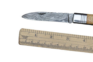 Nuevo Cuchillo de Caza Personalizable OEM, Acero Inoxidable, Hoja Dentada con Punta de Clip, Plegable de Bolsillo, Garantía de 3 Años, Regalo para Chef o Madre - Product Image 4