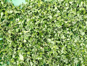 NOUVEAU 2024 HAUTE QUALITÉ 100% Feuilles de Moringa séchées naturelles du VIETNAM pour thé aux herbes bon pour la santé - Product Image 4