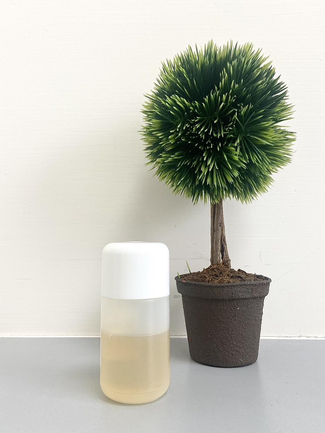 ข้าวขาว