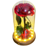 Roses éternelles préservées en dôme de verre avec lumières LED pour la Saint-Valentin, cadeaux d'anniversaire, décoration romantique pour la maison