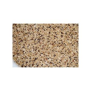 Vente en gros de graines d'alpiste pour l'industrie des aliments pour oiseaux et des aliments pour animaux domestiques - Product Image 6