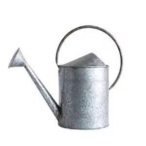 Arrosoir à fleurs galvanisé argenté de taille moyenne, fait à la main, bidon d'eau en étain de taille personnalisée pour le jardin - Product Image 1