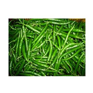 Chiles Verdes Frescos, Ideales para Restaurantes y Chefs - Product Image 4