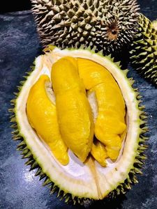 Nouveau Durian frais de culture: le meilleur du Vietnam aux prix de gros - Product Image 3