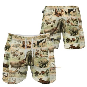 Nuevos y elegantes pantalones cortos con estampado de sublimación para mujer, pantalones cortos transpirables de diseño informal para mujer, pantalones cortos al por mayor de alta calidad - Product Image 6