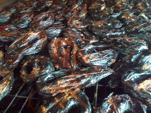 Poisson-chat fumé de haute qualité prêt pour l'exportation approvisionnement en vrac - Product Image 2