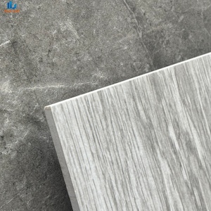 Nuova Collezione 2026 Piastrelle in Gres Porcellanato Effetto Legno 600x600mm Finitura Opaca Smaltata Antigraffio per Pavimenti e Rivestimenti Interni Bestseller - Product Image 5