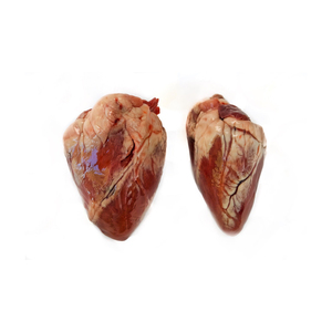 Productos de alta calidad al por mayor, corazones de cordero frescos y congelados - Product Image 6