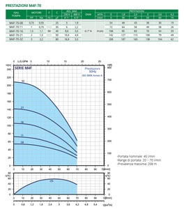 Pompa Elettrica Sommergibile di Alta Qualità Italiana M4F-140-14T per Irrigazione Agricola, Pozzi Profondi e Pompe ad Alta Pressione - Product Image 3
