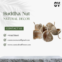 Bunga Kering Kosmik Alami, Biji Buddha Klasik Elegan Rustic Berkualitas Tinggi, Seperti Asli, Ramah Lingkungan, Dekorasi Pernikahan