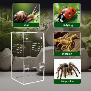 <span class=keywords><strong>Terrarium</strong></span> pour araignées sauteuses et tarantules en acrylique transparent de 3x3x6 pouces avec boîte magnétique miniature, cage pour animaux de compagnie - Product Image 3