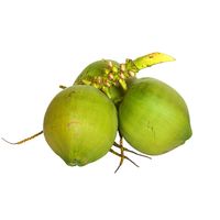 Hoge kwaliteit Vietnamese verse kokosnoot voor voedsel en dranken